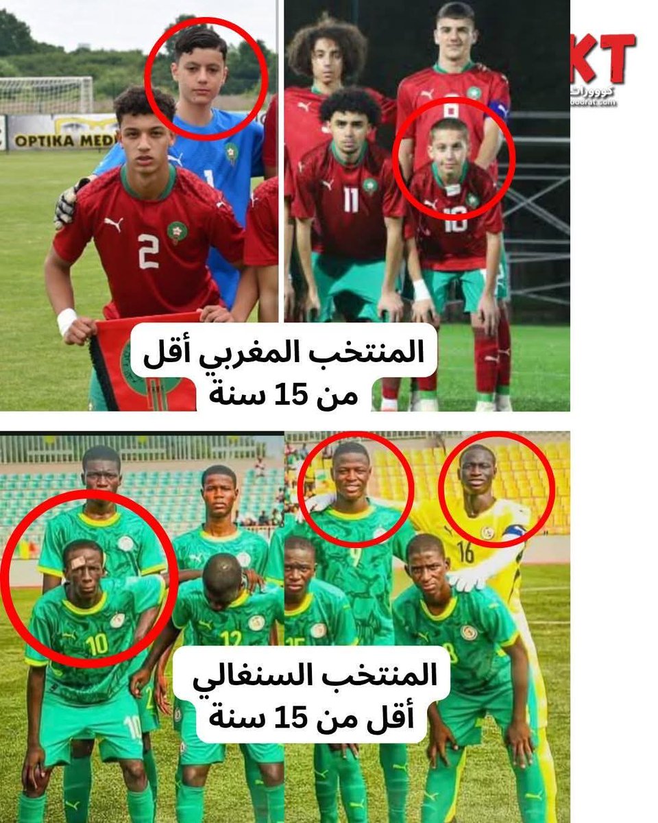 بوفرطوطو tweet media