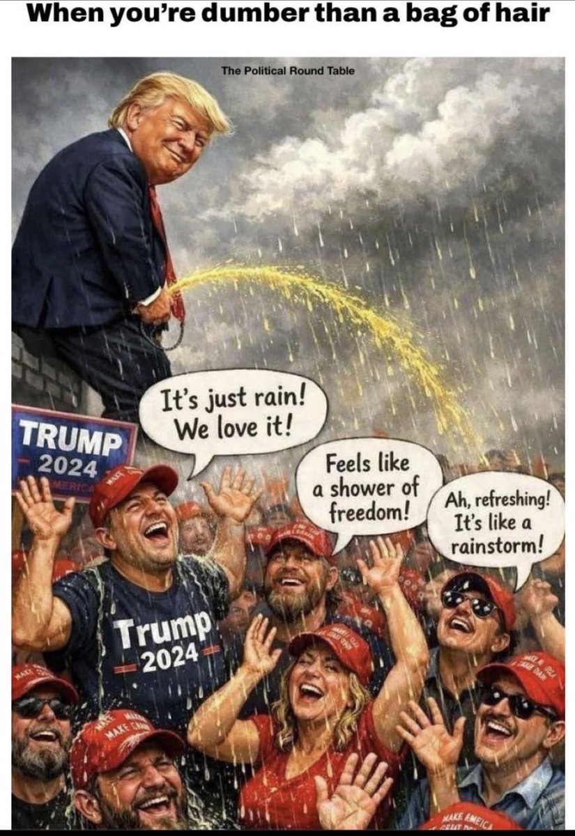 Bea Singleton tweet media