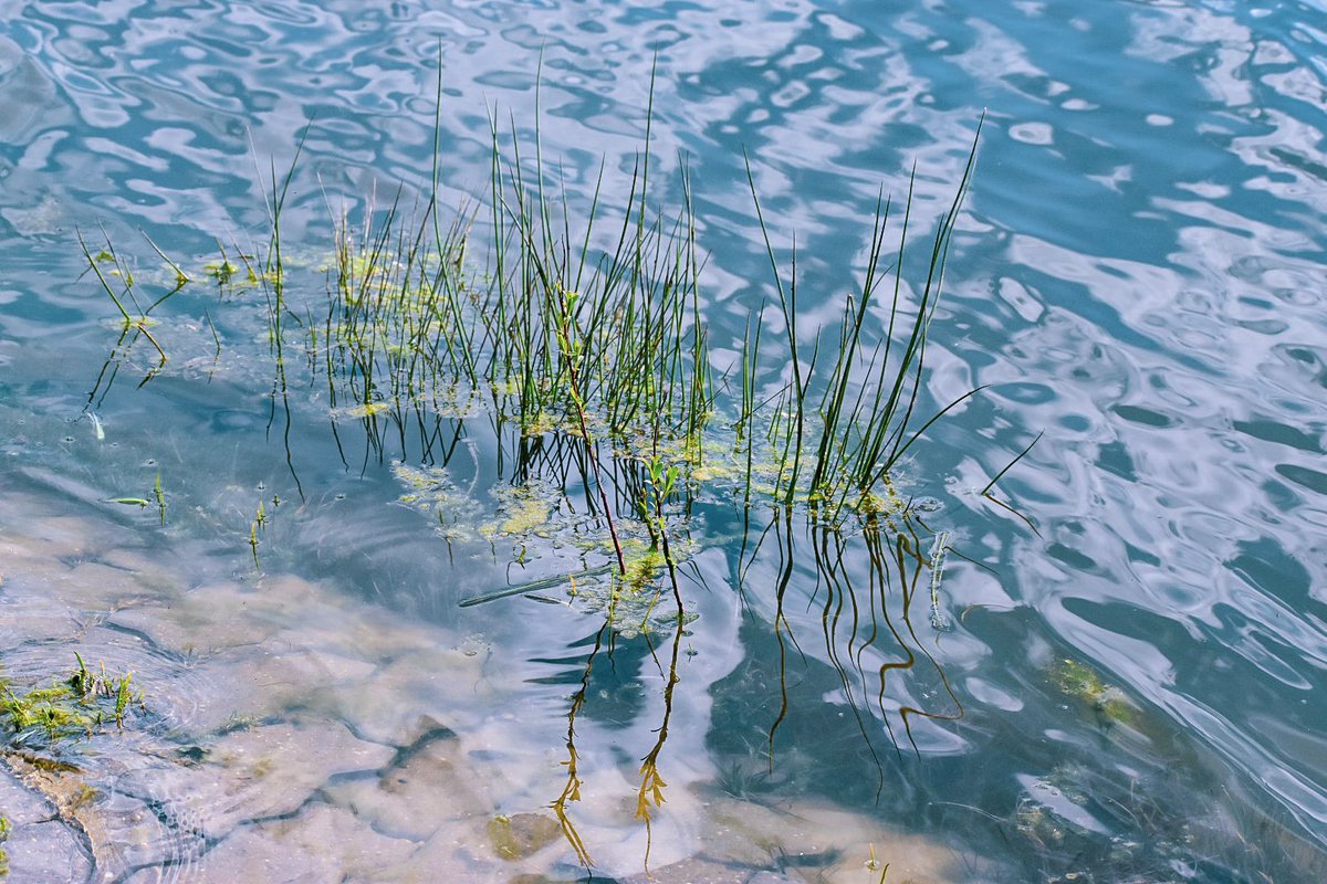 🎀 Dragica Basarić 🎀📸 tweet media
