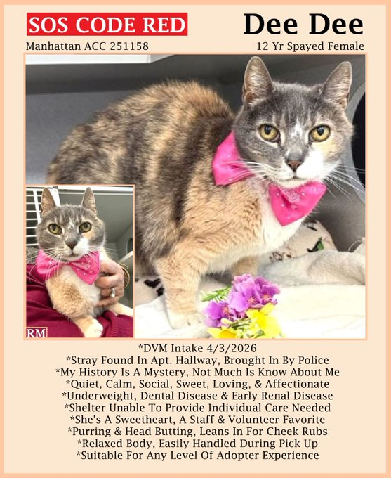 Renee' Martin tweet media