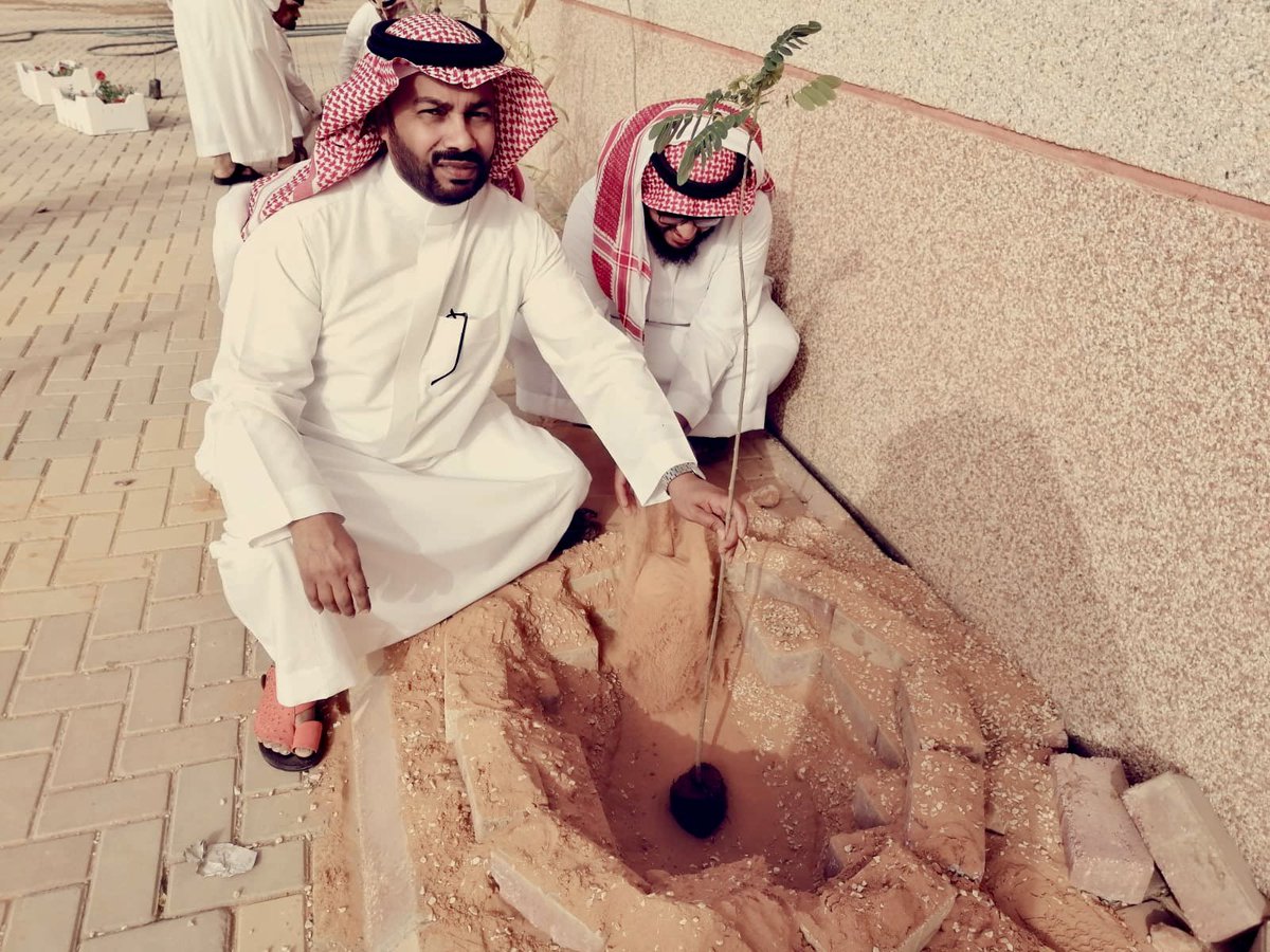 جمعية الحلوة الخضراء tweet media