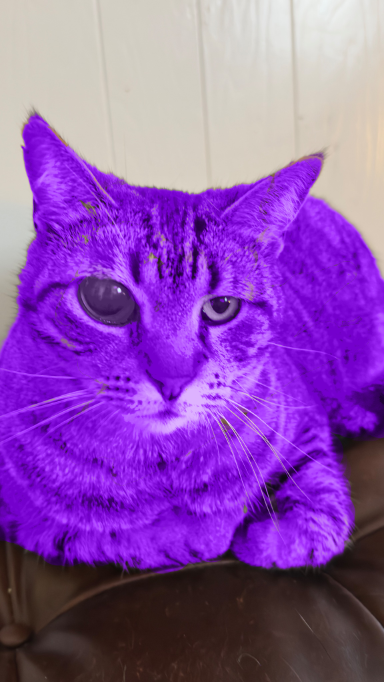 giggitygripper59 tweet media