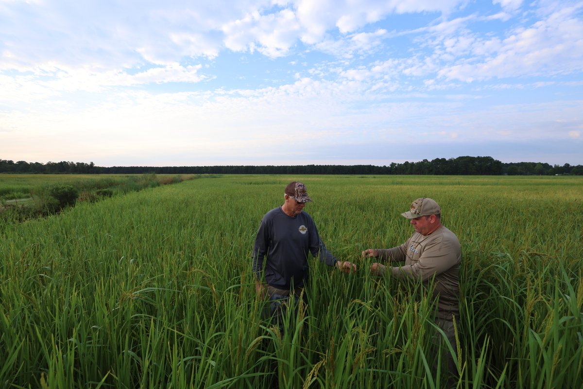 Economic Development Partnership of NC tweet media
