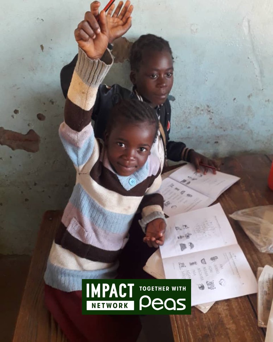 Impact_Network's tweet photo. Youth empowerment starts with strong foundations.

Literacy. Numeracy. Confidence.

We are committed to strengthening education systems so young people can thrive. 

#EducationMatters https://t.co/ws3cAR0LoK