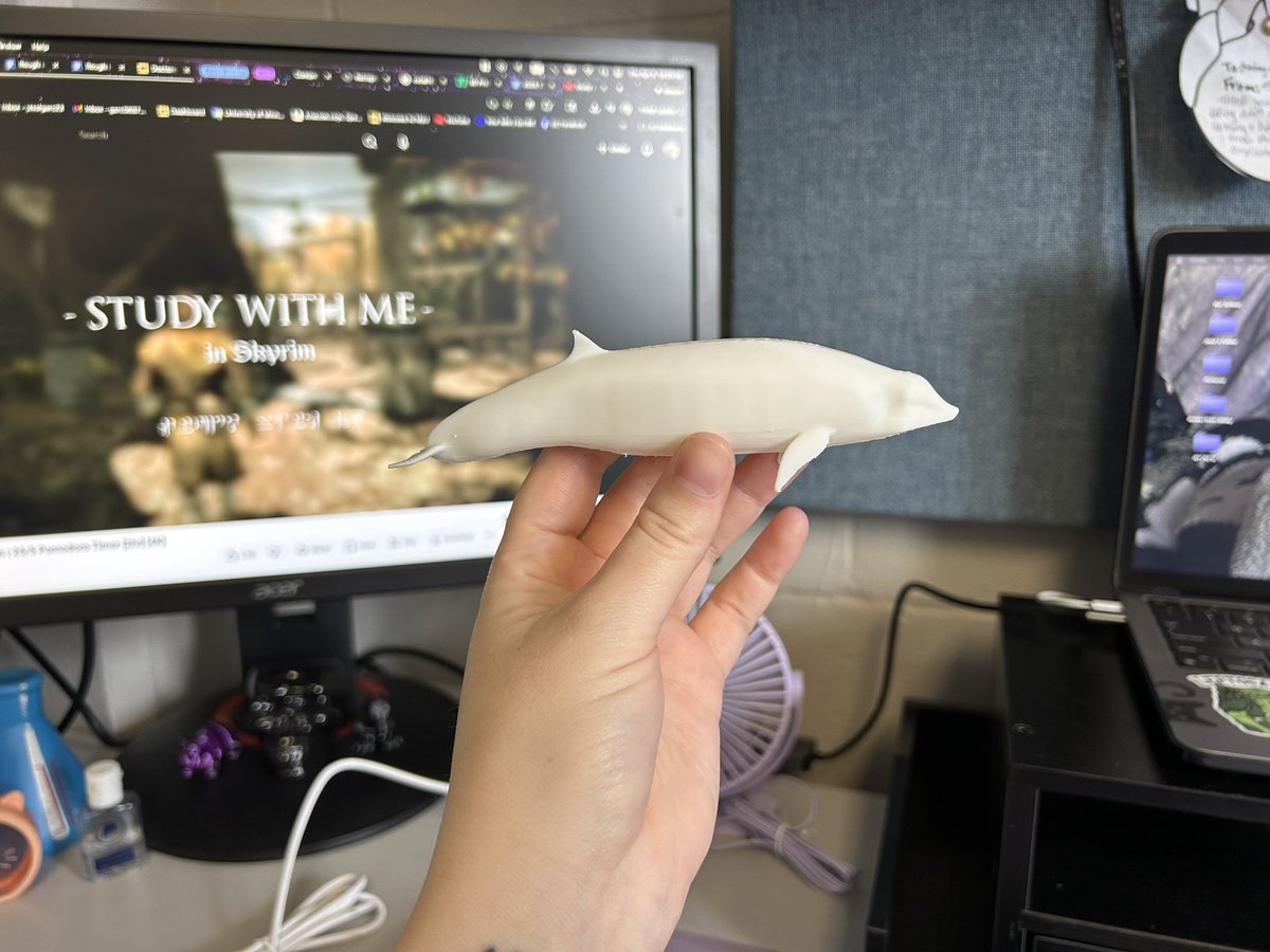 ⋆⁺₊✧ tweet media