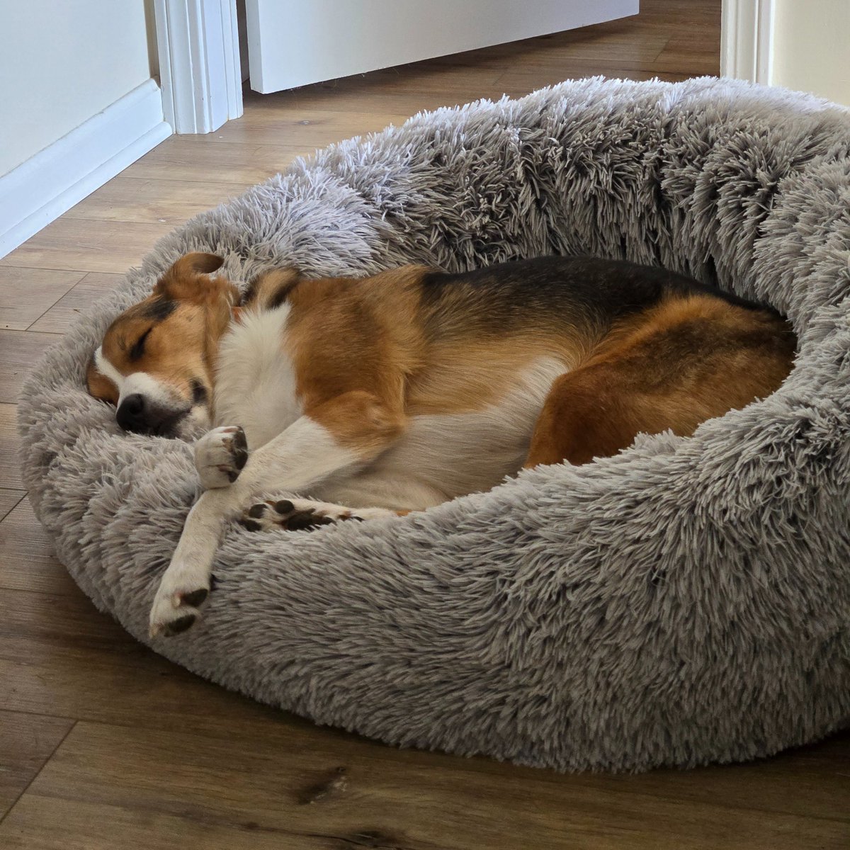 Trashcan't ☭ tweet media