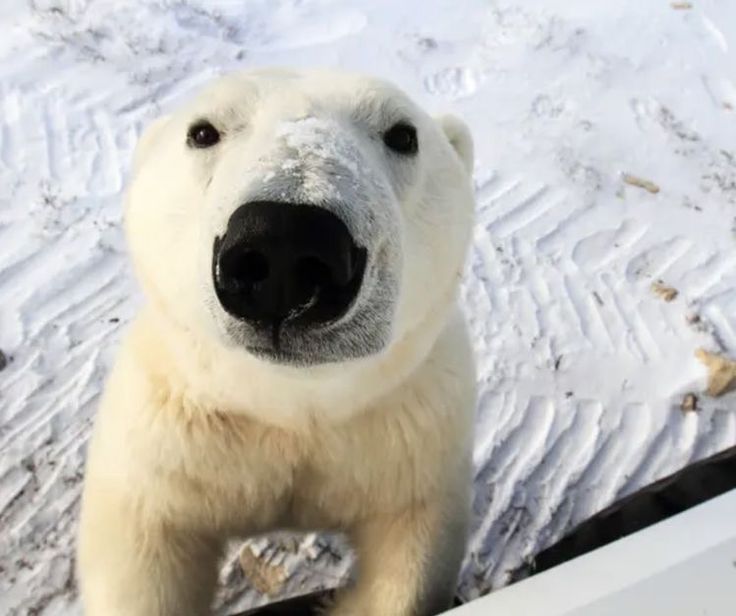 Elise 🍒🍒♱ tweet media