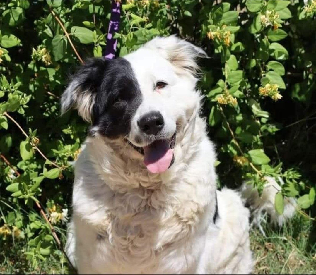 Nin 🖤🔻🍉 tweet media