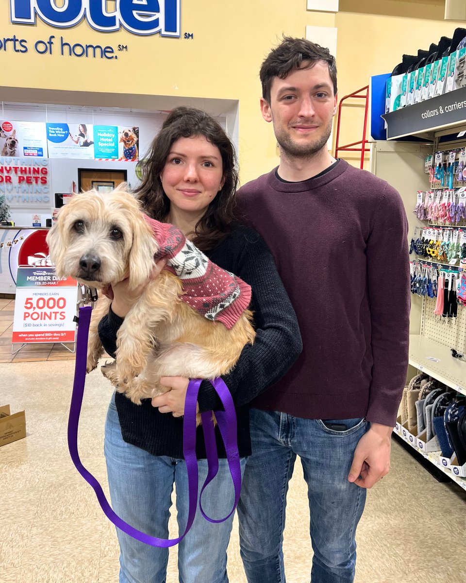 WeRateDogs tweet media