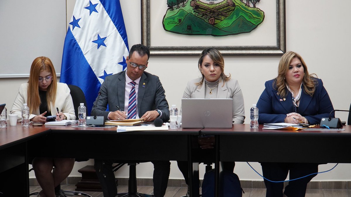 IAIP_Honduras tweet media