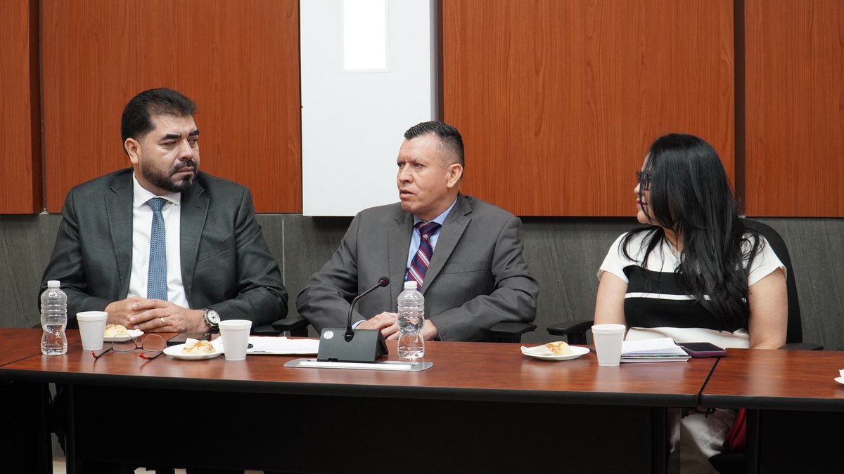 IAIP_Honduras tweet media