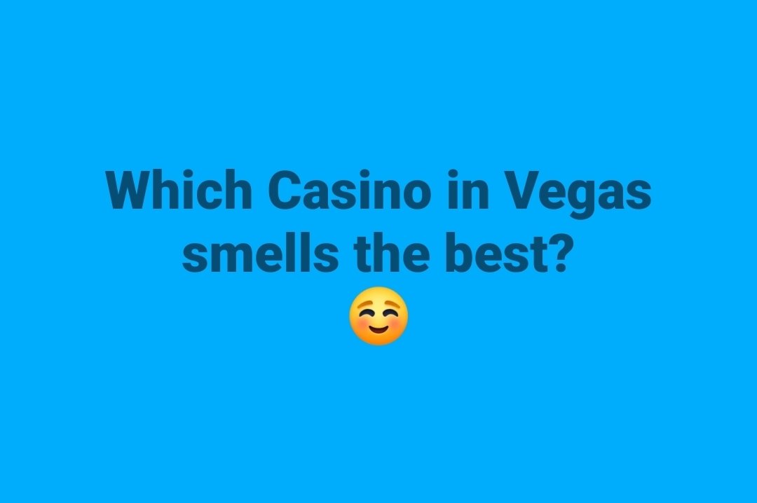 Sin City Las Vegas tweet media