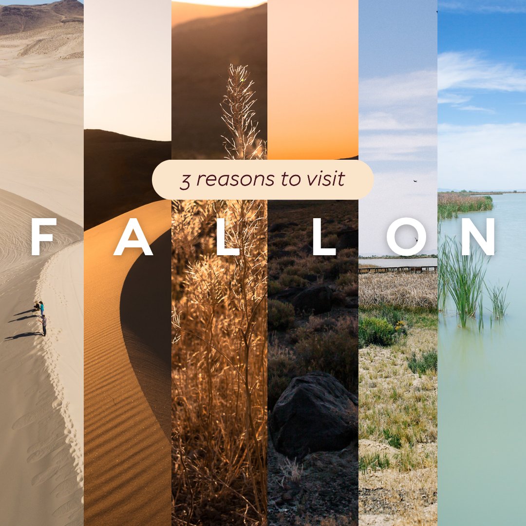 Visit Fallon tweet media