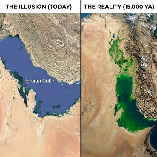 Adi el Grande tweet media