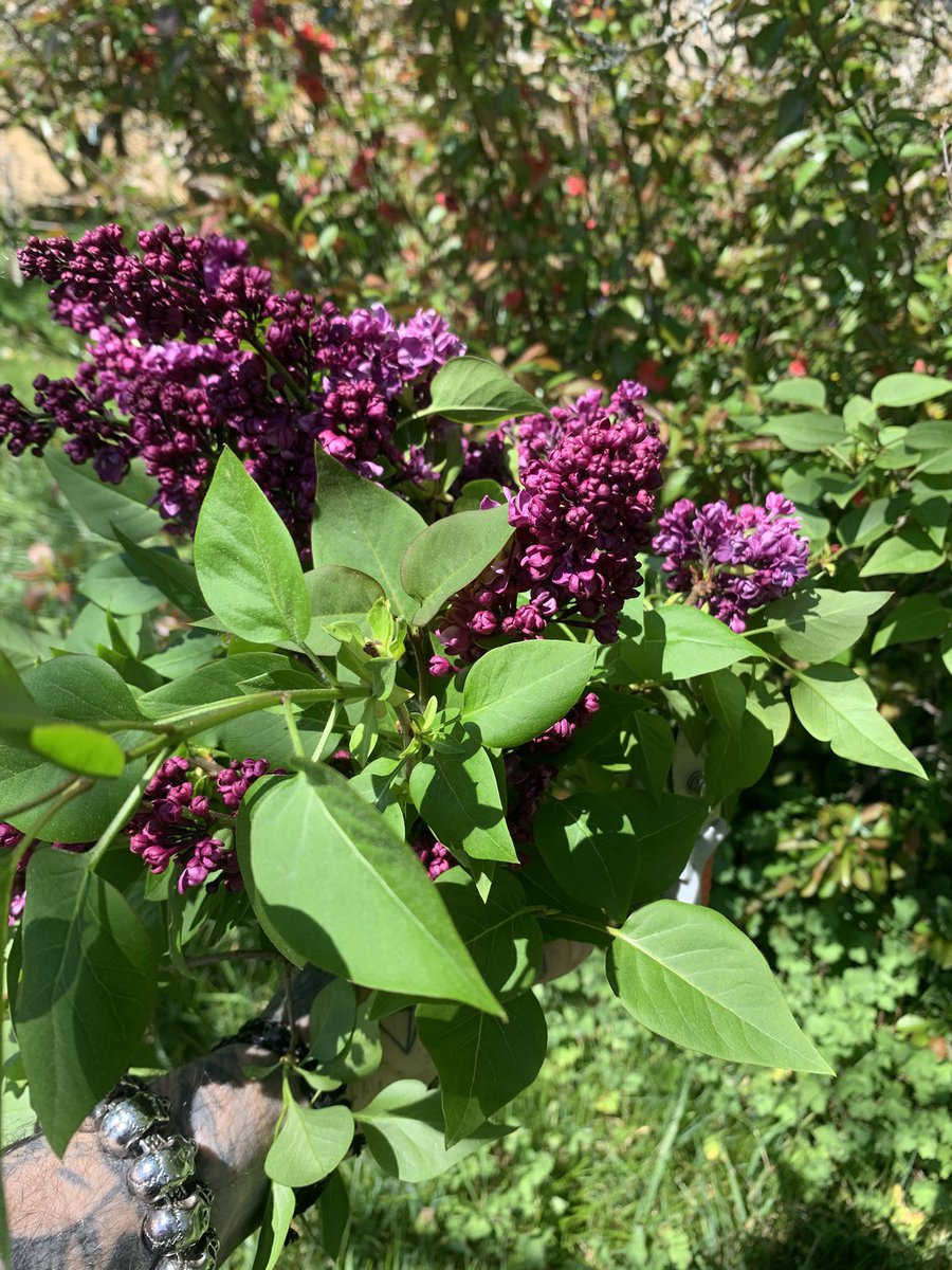 Satsujin/殺人/Satsujin-Shuppan/殺人出版 🇯🇵🇮🇱🇫🇷 tweet media