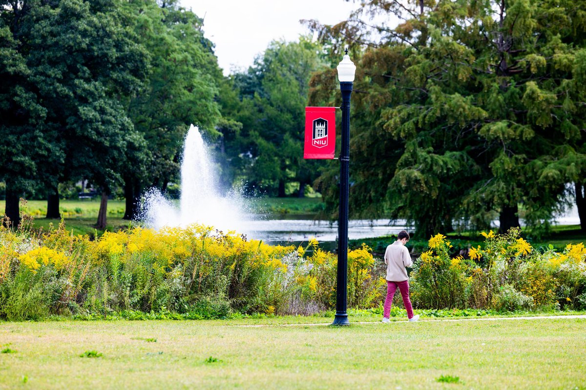 NIU tweet media