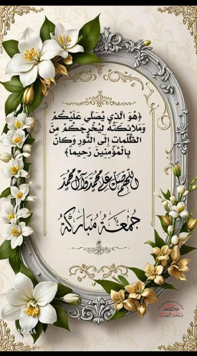 محمد الحاضر الرشيدي tweet media