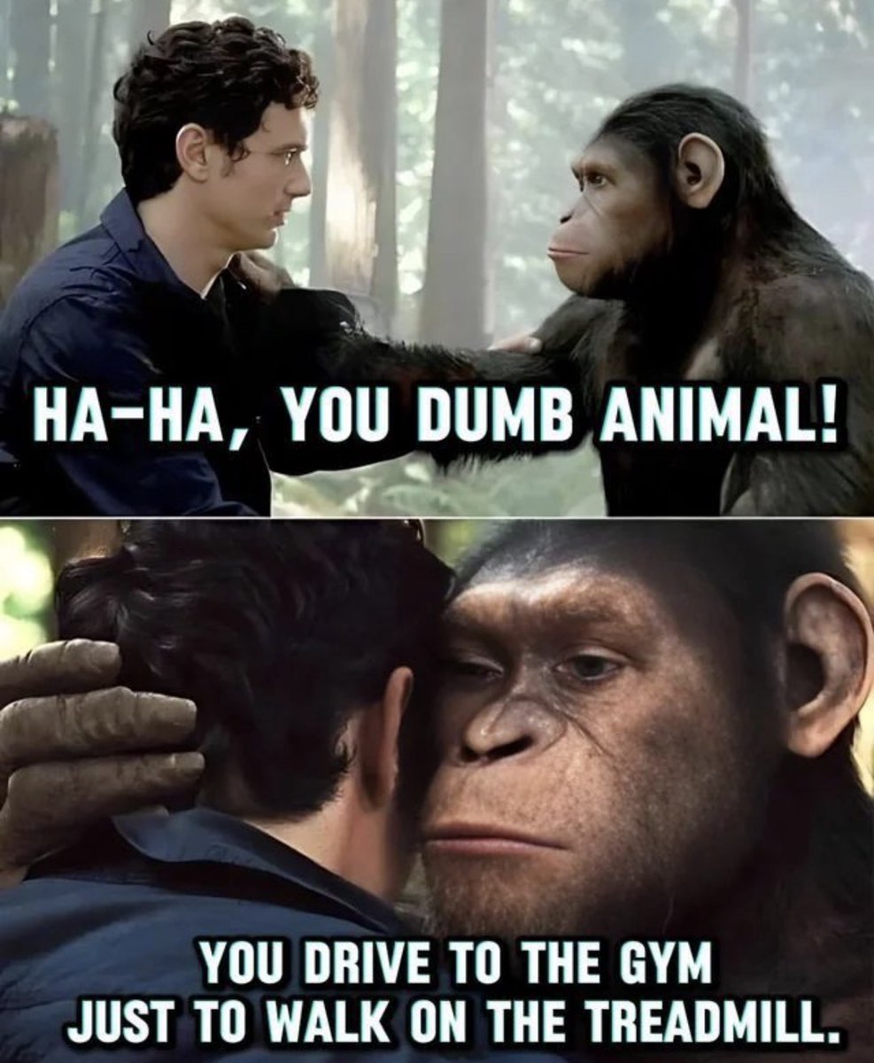 Respectful Memes tweet media