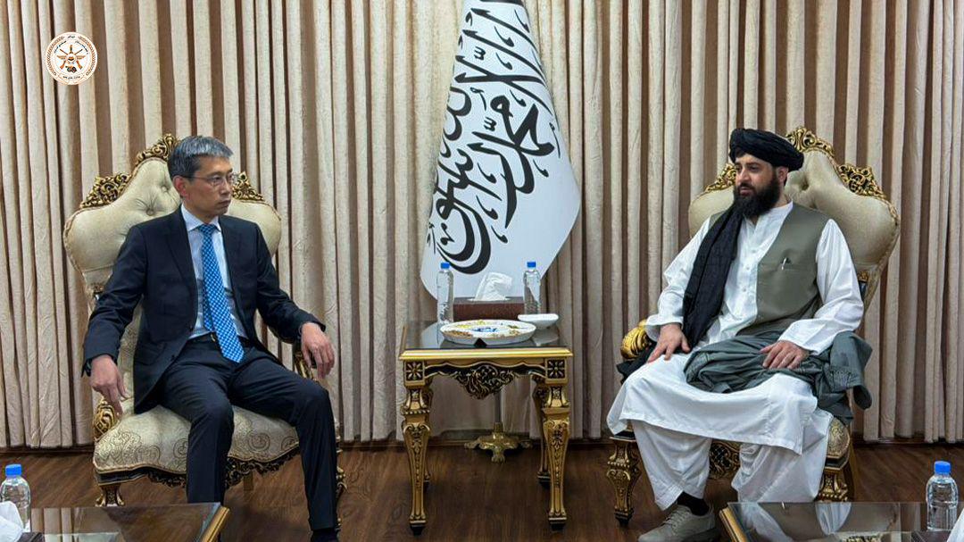 همدرد فـراه وال | Hamdard Farahi tweet media