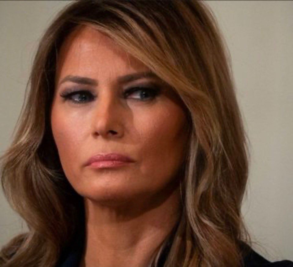 Mark 🍁 tweet media