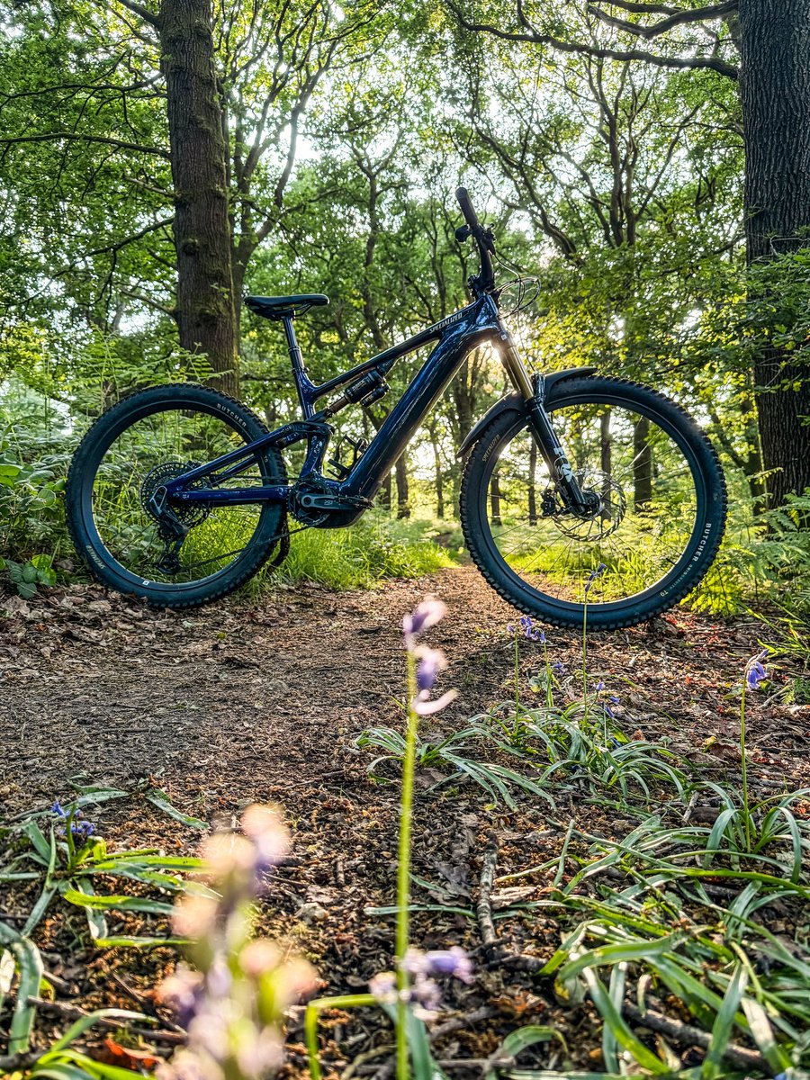 FoDmtb's tweet photo. Evening rides 😊 https://t.co/Je4TRE498g
