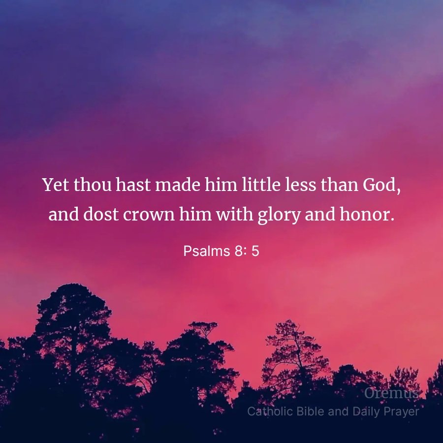 AnitaSKunene's tweet photo. ³ When I look at thy heavens, the work of thy fingers, the moon and the stars which thou hast established; ⁴ what is man that thou art mindful of him, and the son of man that thou dost care for him?

Psalms 8:2-9 RSV-CE https://t.co/LDD9fz6IdH