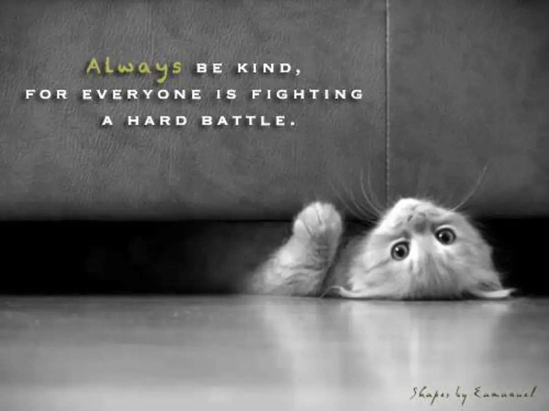 Flying Lizards tweet media