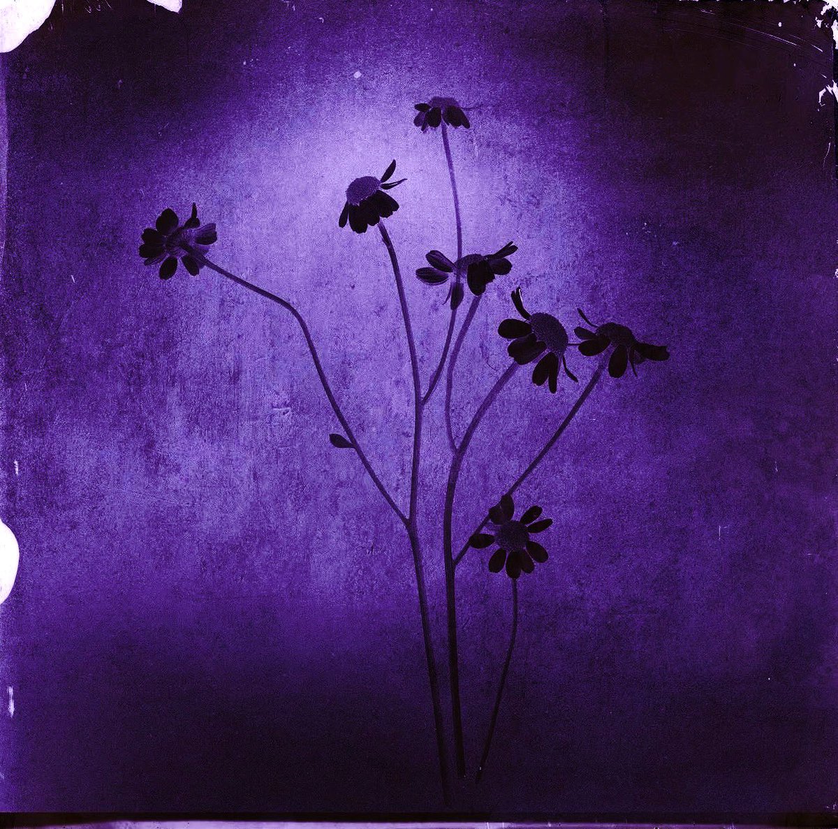 ginny ☁️ ceo of yours truly ! tweet media