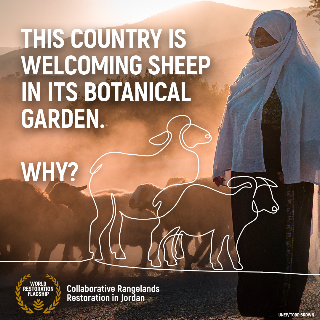 UN Environment Programme tweet media