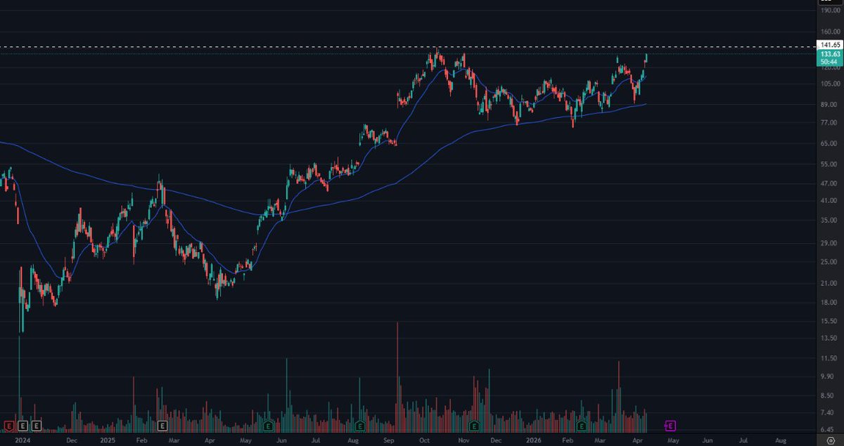 THE SHORT BEAR tweet media