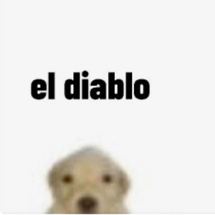 LA CASA Streaming tweet media