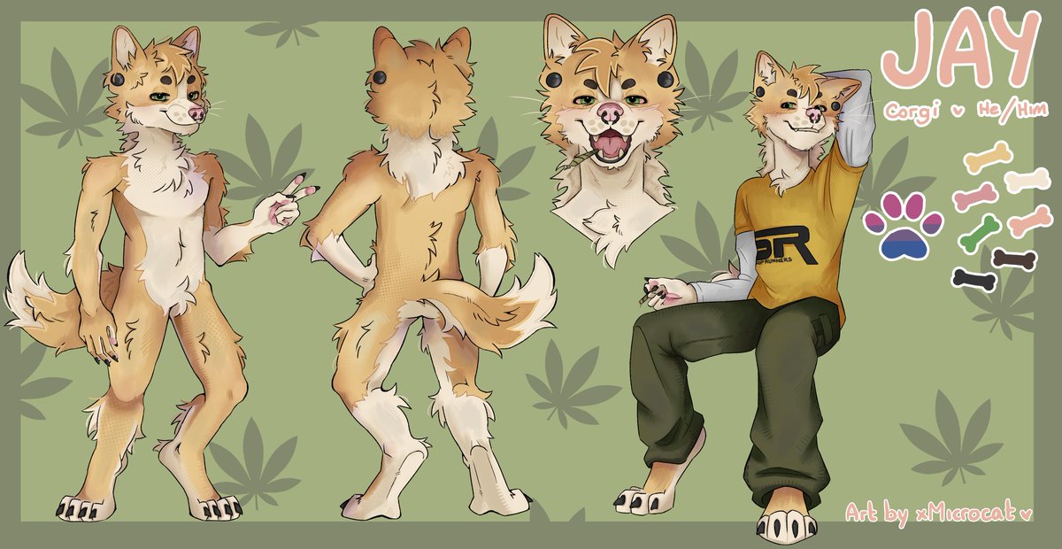 xMicrocat's tweet photo. Ref Sheet Commission! #furry #digitalart #furryfandom #corgi https://t.co/LLF5ihEvA3