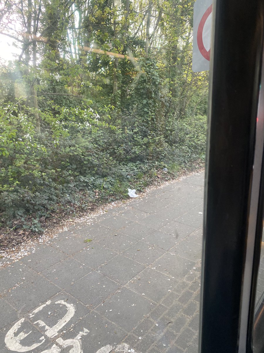 suhossieuna's tweet image. #sitting by the window #sieun #sieuncore