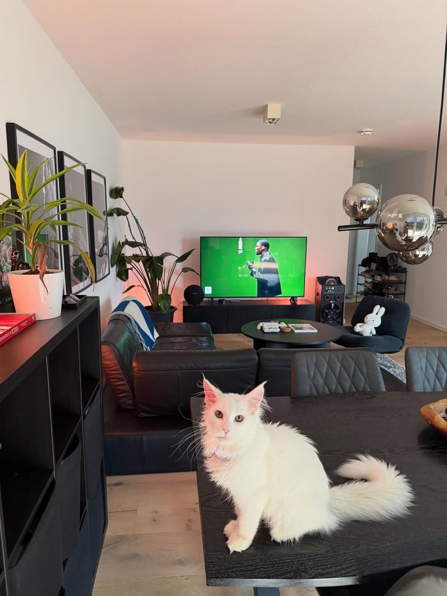 interiorsuckerr's tweet image. 