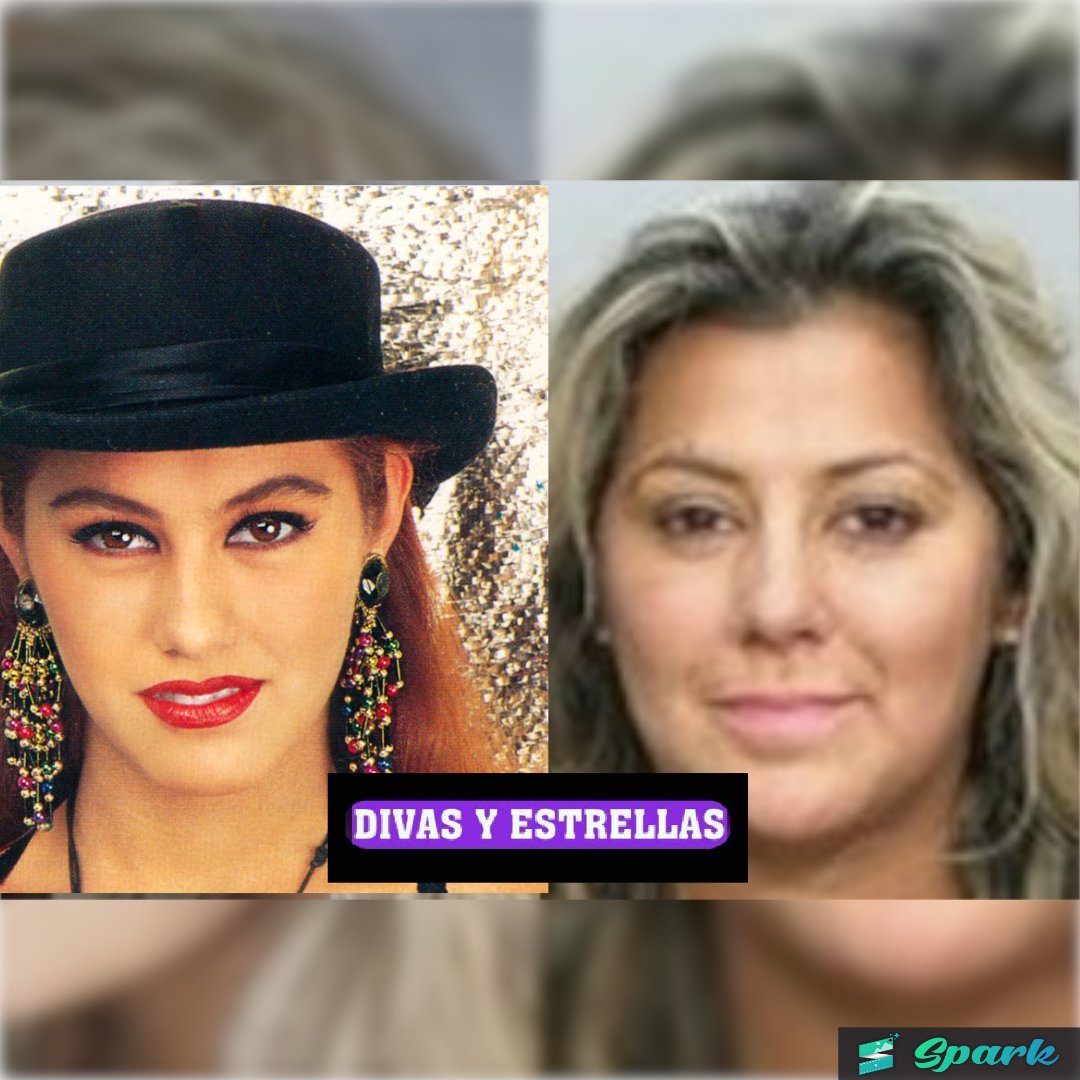 DIVAS Y ESTRELLAS FB tweet media