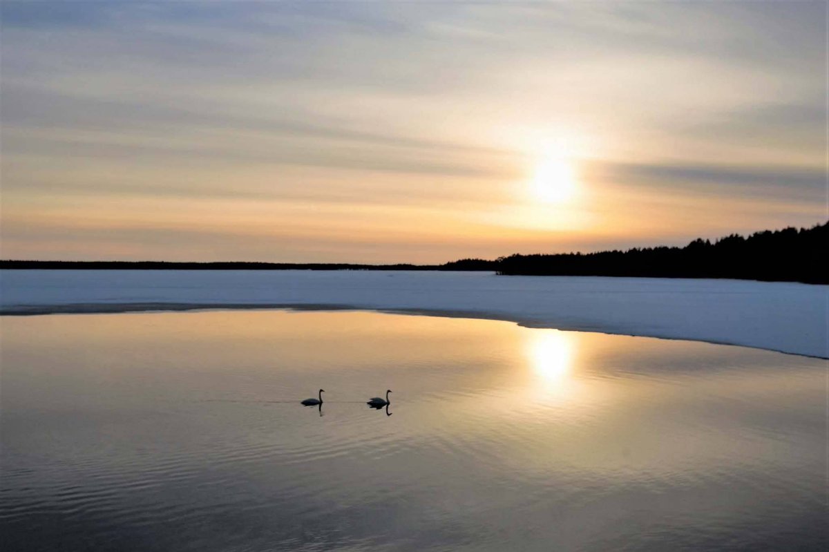 PHatunen's tweet image. Hyvää yötä. Goof night.
Kuva 8.4.2017. Vaala
#sunset #Finland #goodnight