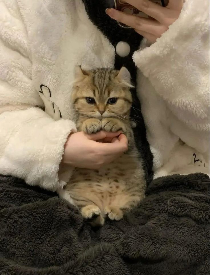 Cat 🐈 tweet media