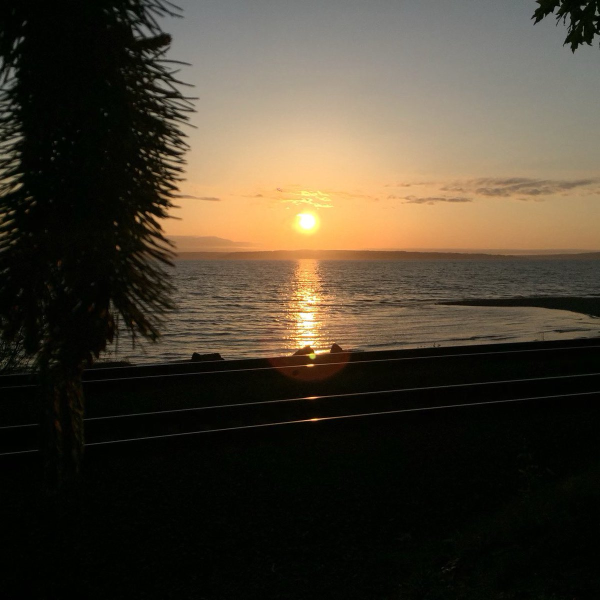 PIGBOY LEO (10k) tweet media