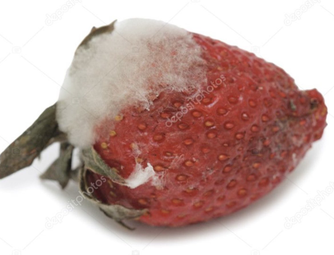 Ufuk TUNAOĞLU tweet media