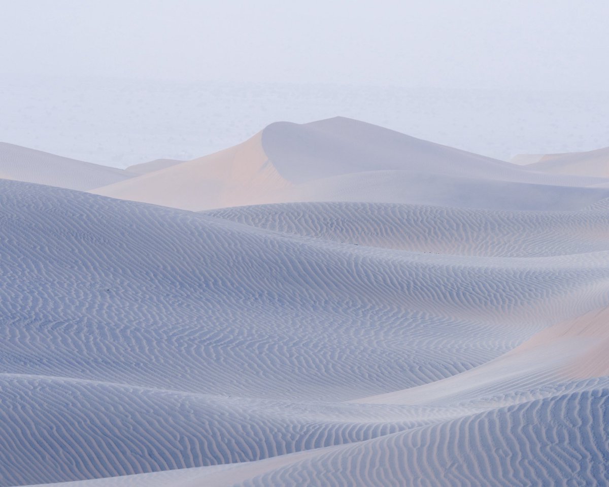 Tara in Abstract 🙃 tweet media