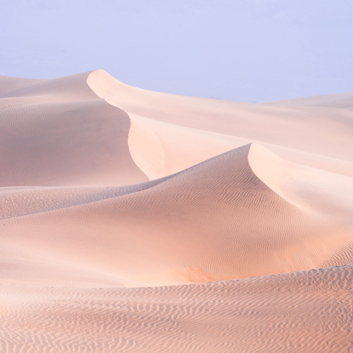 Tara in Abstract 🙃 tweet media