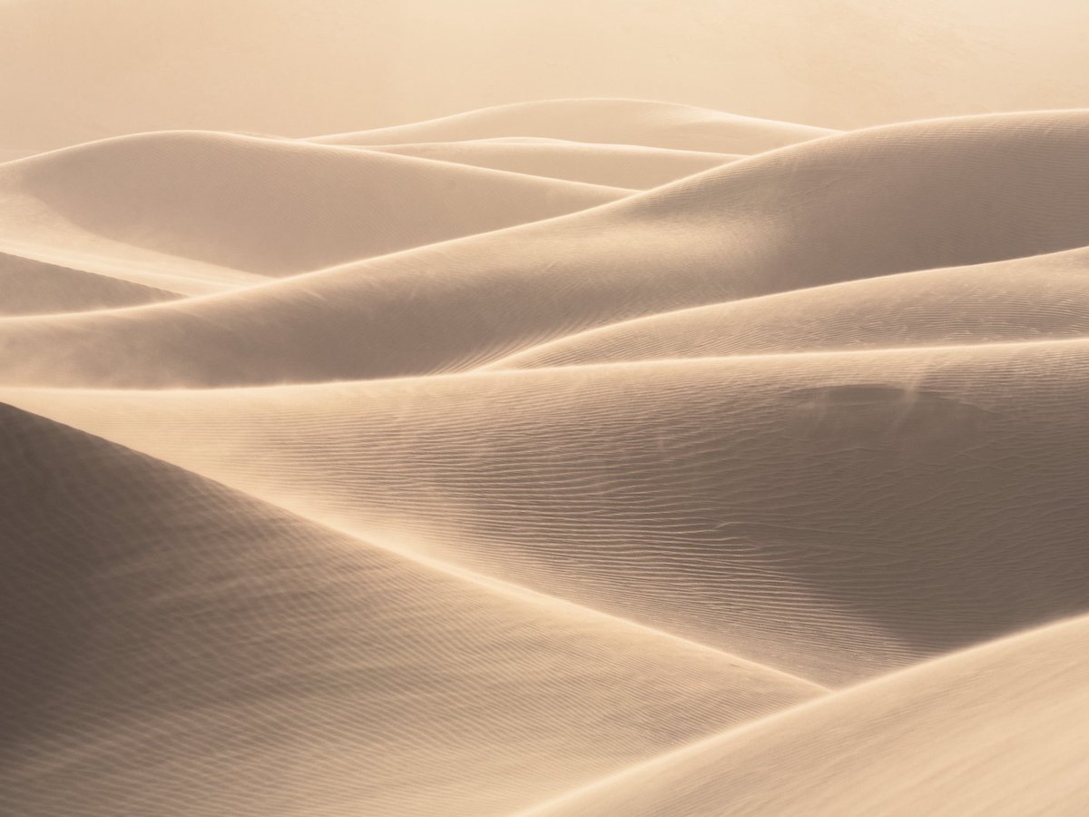 Tara in Abstract 🙃 tweet media