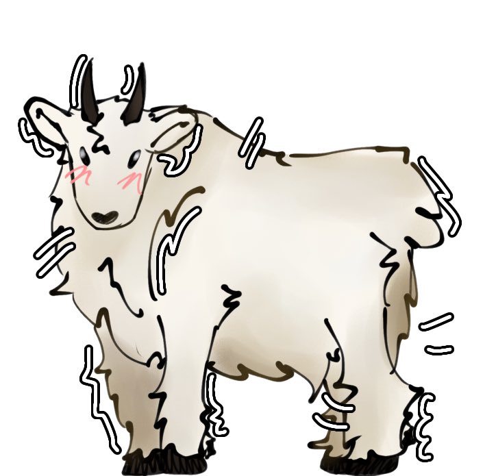 slxtvr's tweet image. I love mountain goats they’re so stupid 😭😭 #mountaingoat