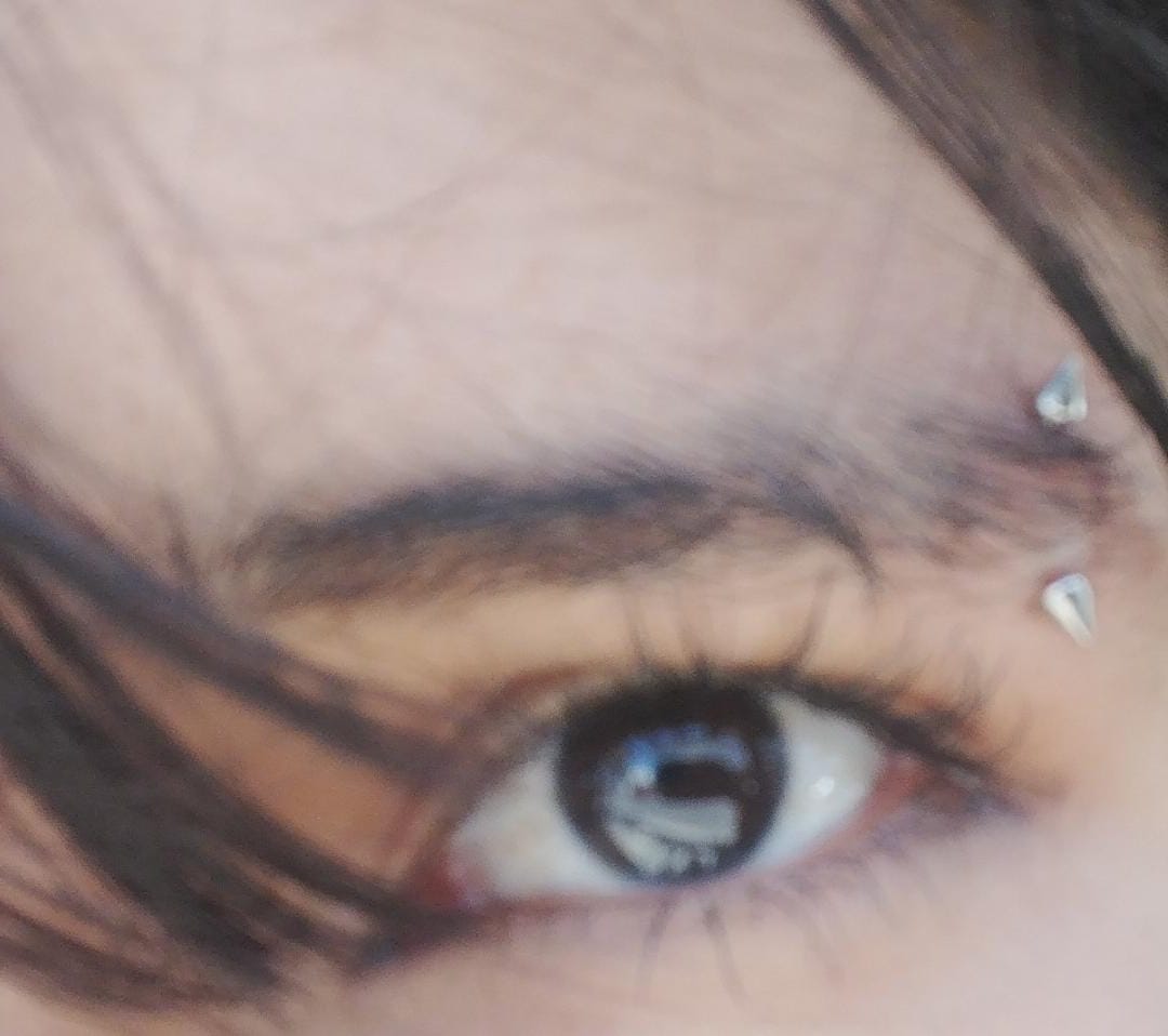 aleeeeeeexxxxxx tweet media