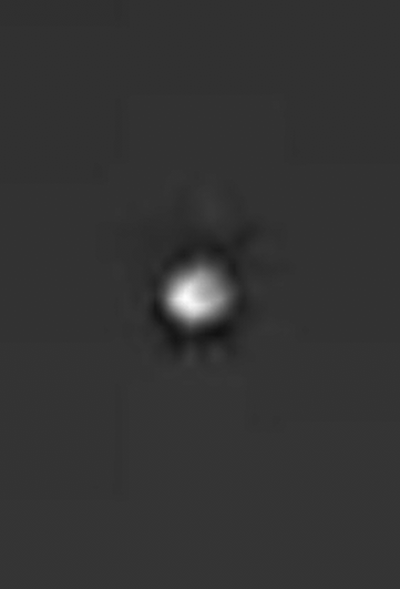 ProPixel Video Analysis and Research tweet media