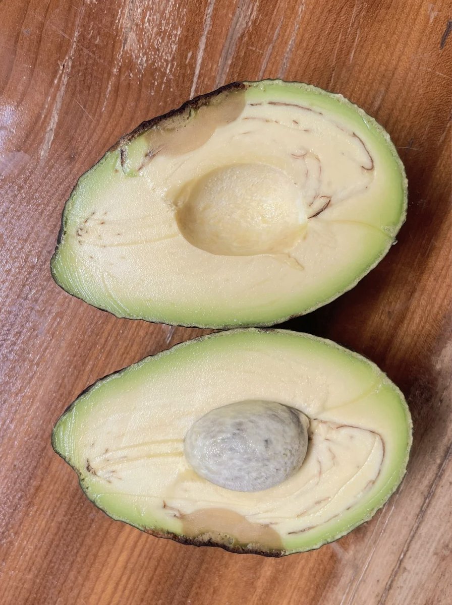 vendeta love tweet media