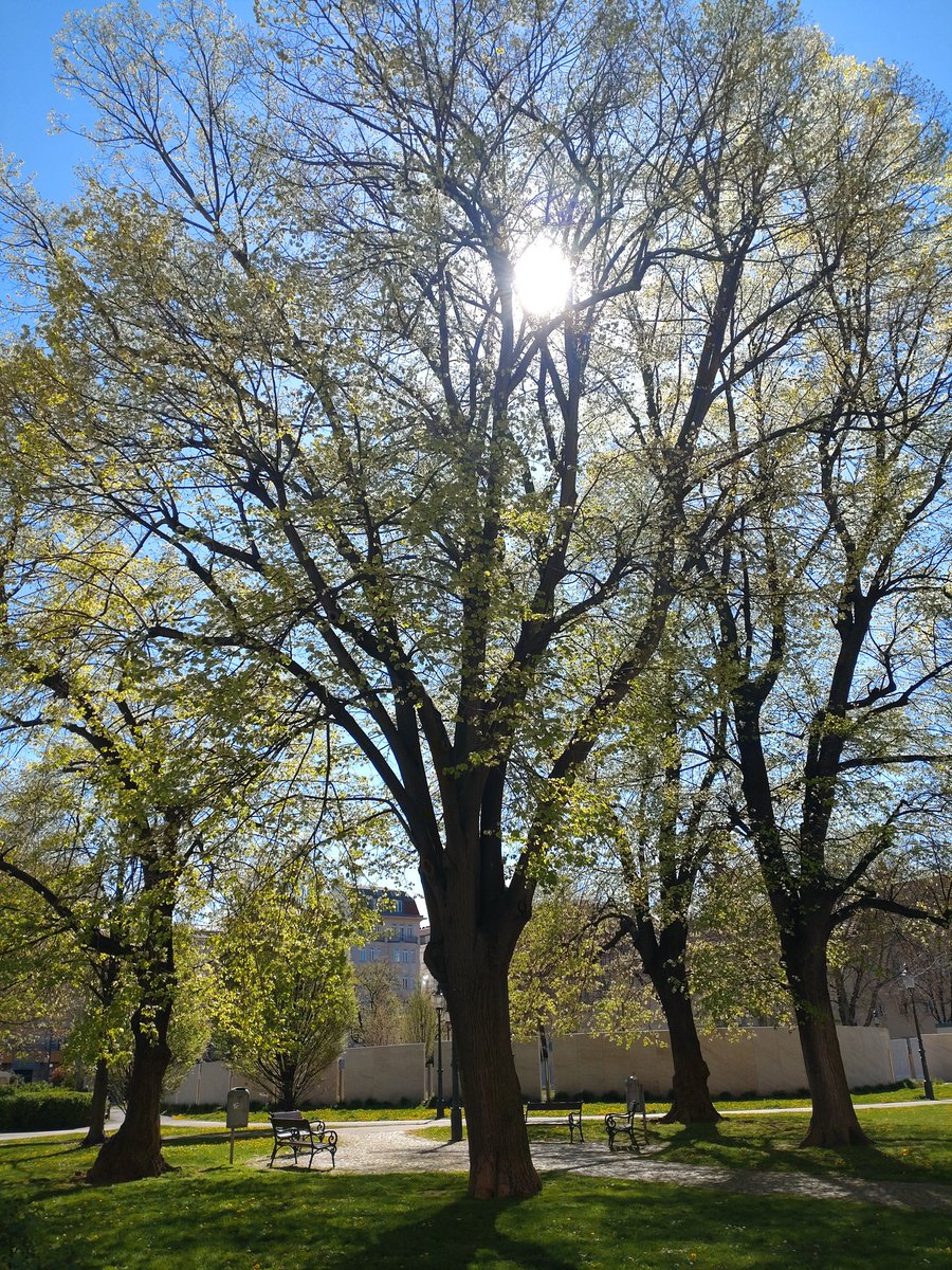 Susanne Steinacher tweet media