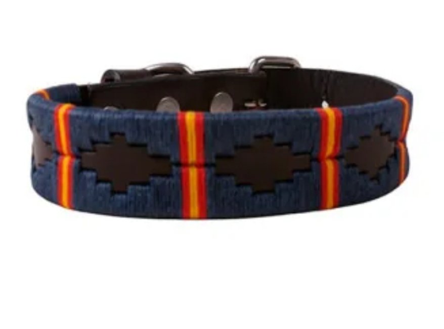 Hoy le he comprado este collar a Thanos... Ya puedo decir que tengo un fachaperro