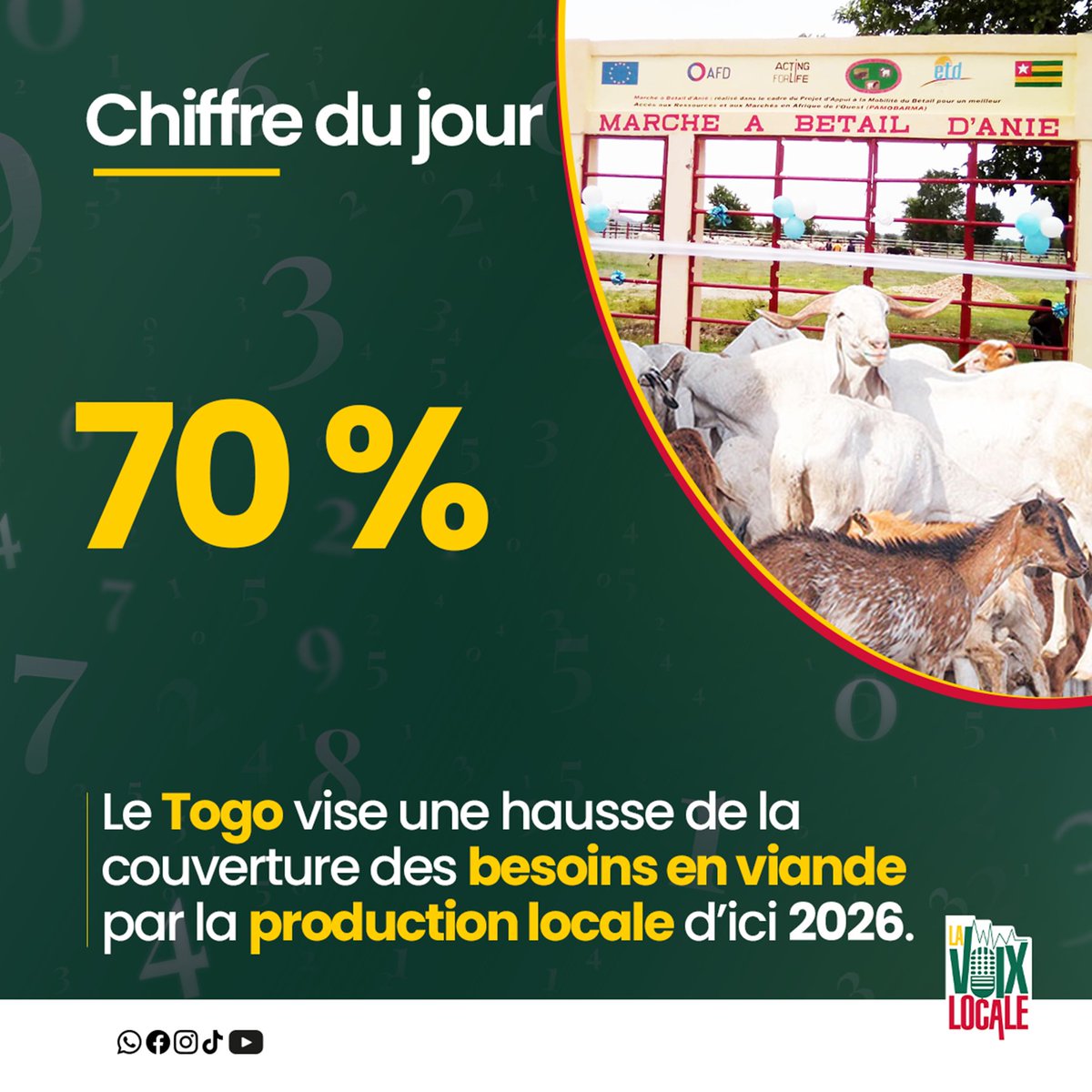 Voixlocale's tweet image. Le #Togo se fixe pour ambition d’assurer, à l’horizon 2026, 70 % de la couverture de ses besoins en viande par la #production nationale.
Cette orientation stratégique repose sur une consolidation progressive de la filière d’#élevage, articulée autour du renforcement des