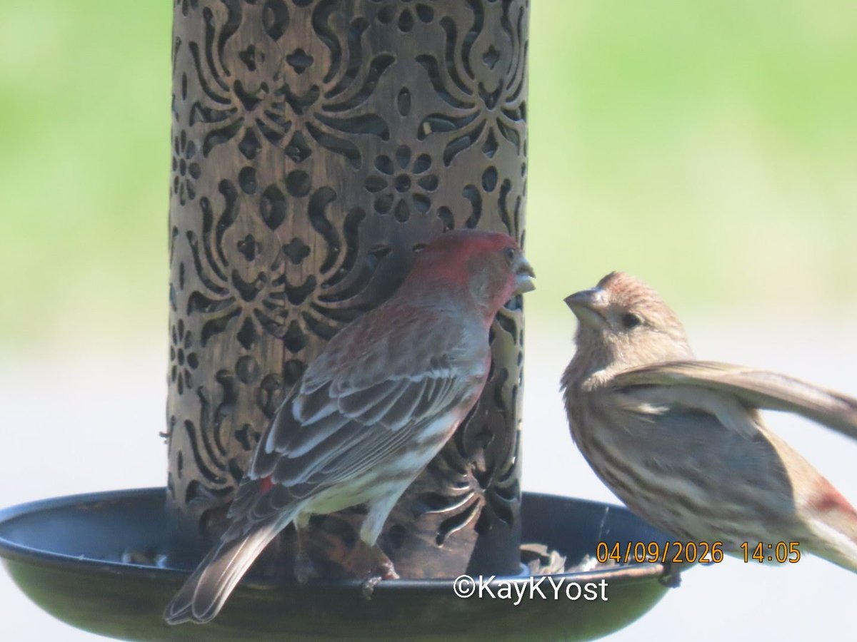 Meteorologist Drew Anderson tweet media
